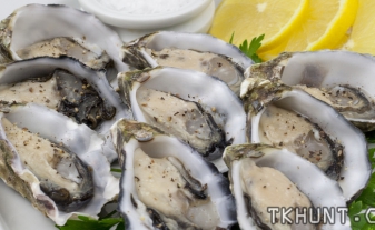 oyster stuffing
