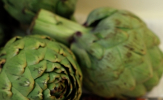 artichoke appetizers