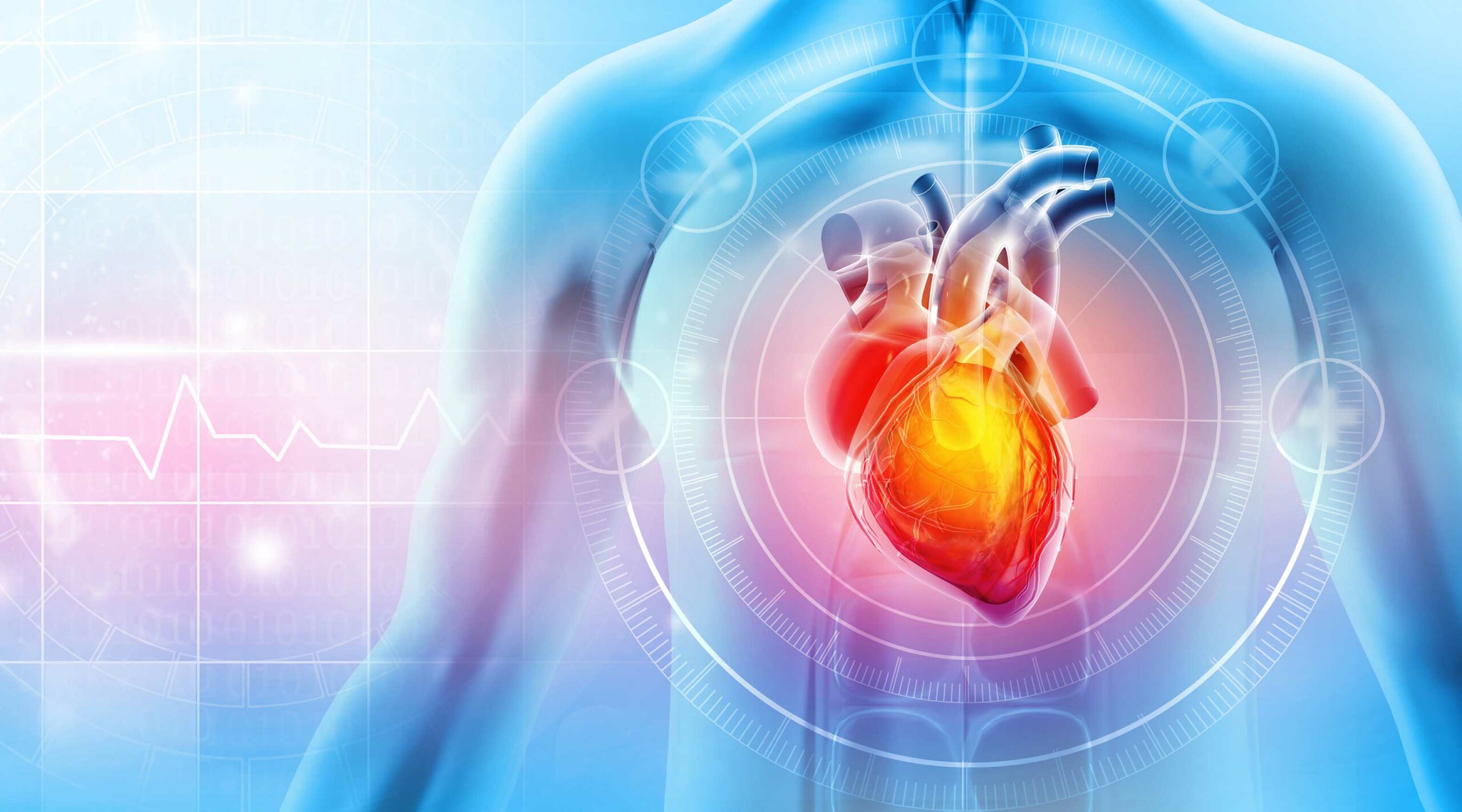 What is heart disease?